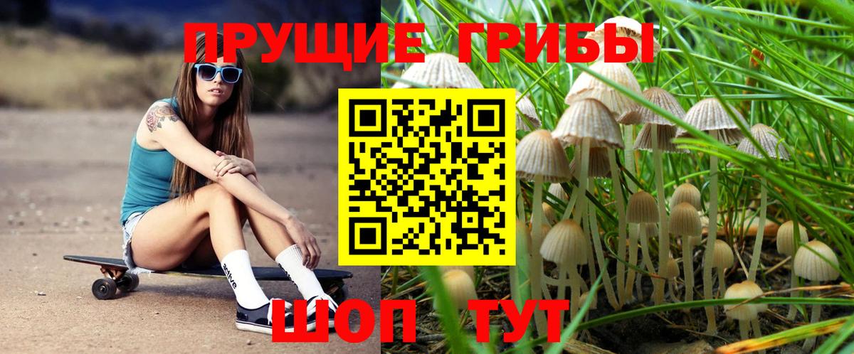 Галлюциногенные грибы ЛСД  Вход с VPN  Галлюциногенные грибы MAGIC MUSHROOMS  Барабинск 